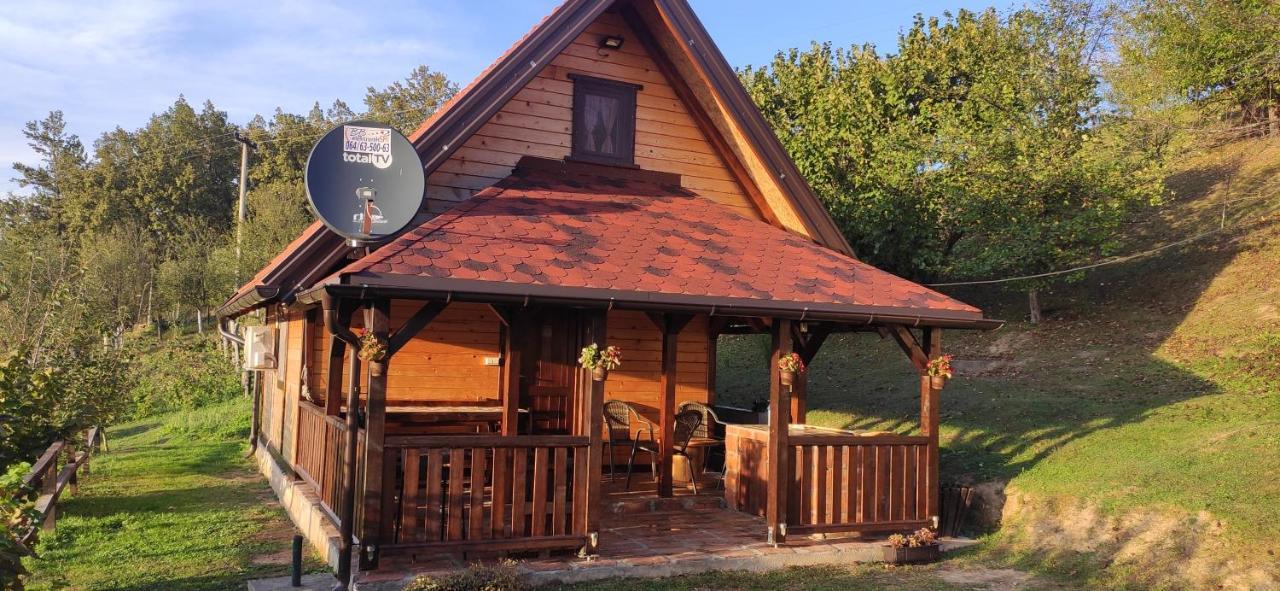 Villa Brvnara Na Bregu Bajina Basta Esterno foto
