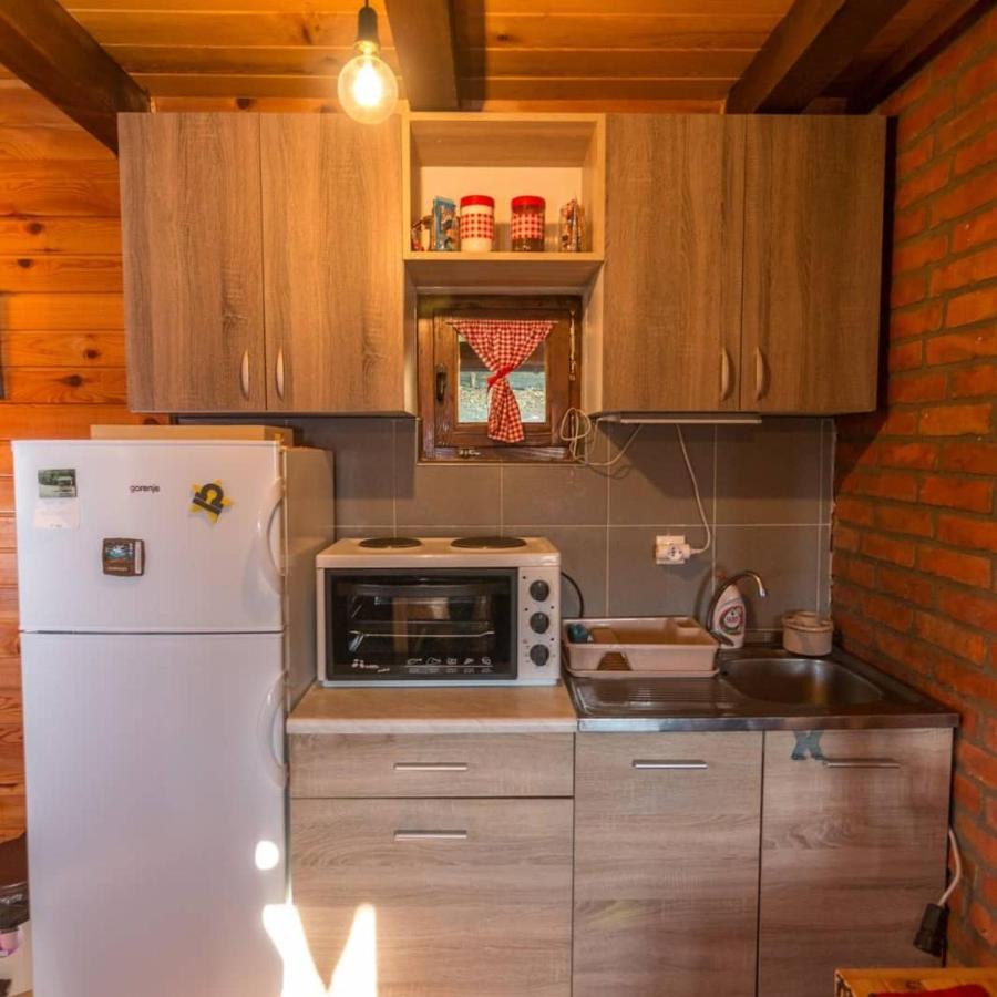 Villa Brvnara Na Bregu Bajina Basta Esterno foto
