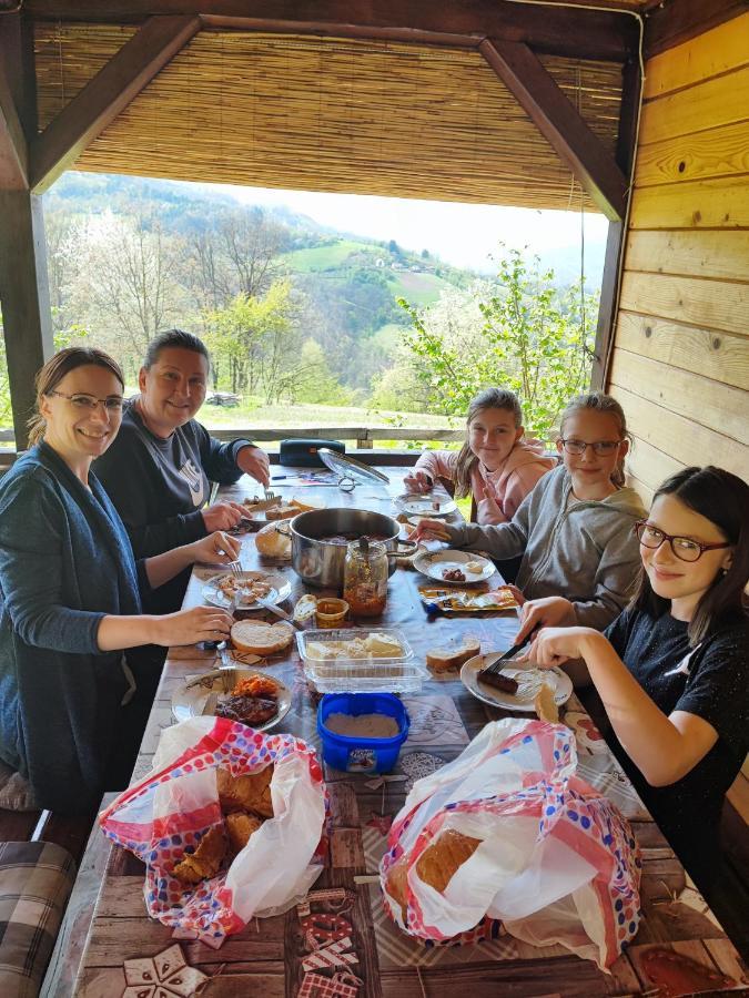Villa Brvnara Na Bregu Bajina Basta Esterno foto