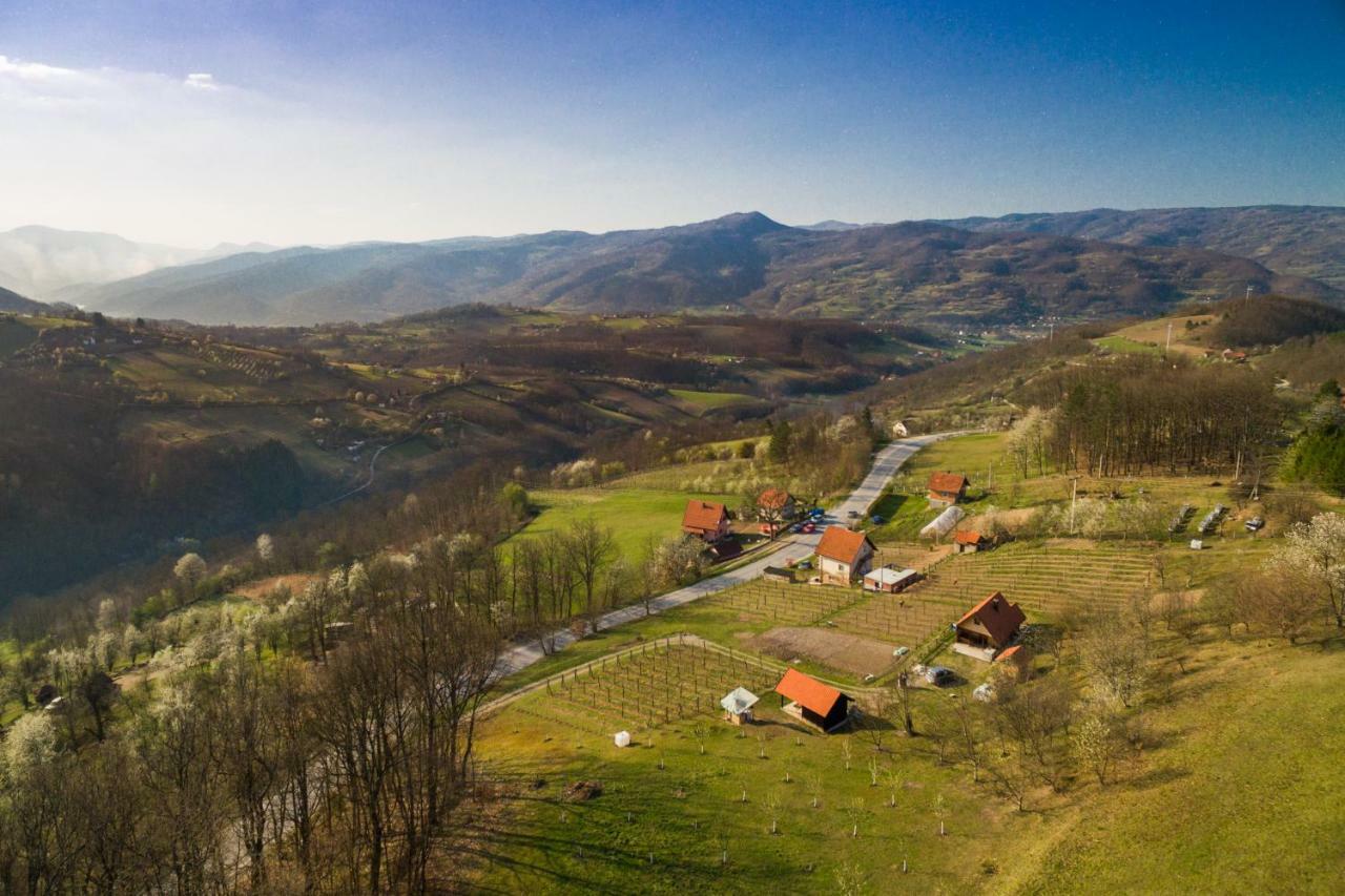 Villa Brvnara Na Bregu Bajina Basta Esterno foto