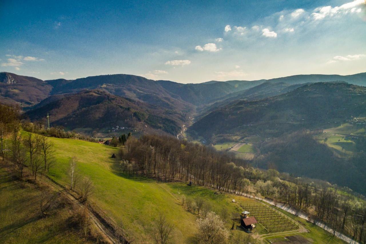 Villa Brvnara Na Bregu Bajina Basta Esterno foto